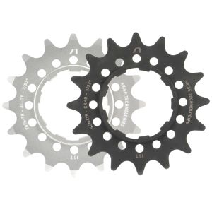 Arise Echo Cog