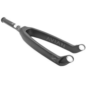 Avian Versus Carbon Fork