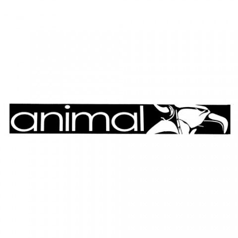 Animal Street Sticker 25in - CrucialBMXShop.com