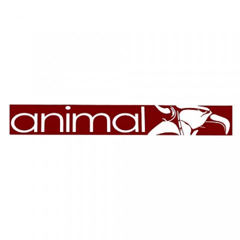 Animal Street Sticker 25in - CrucialBMXShop.com