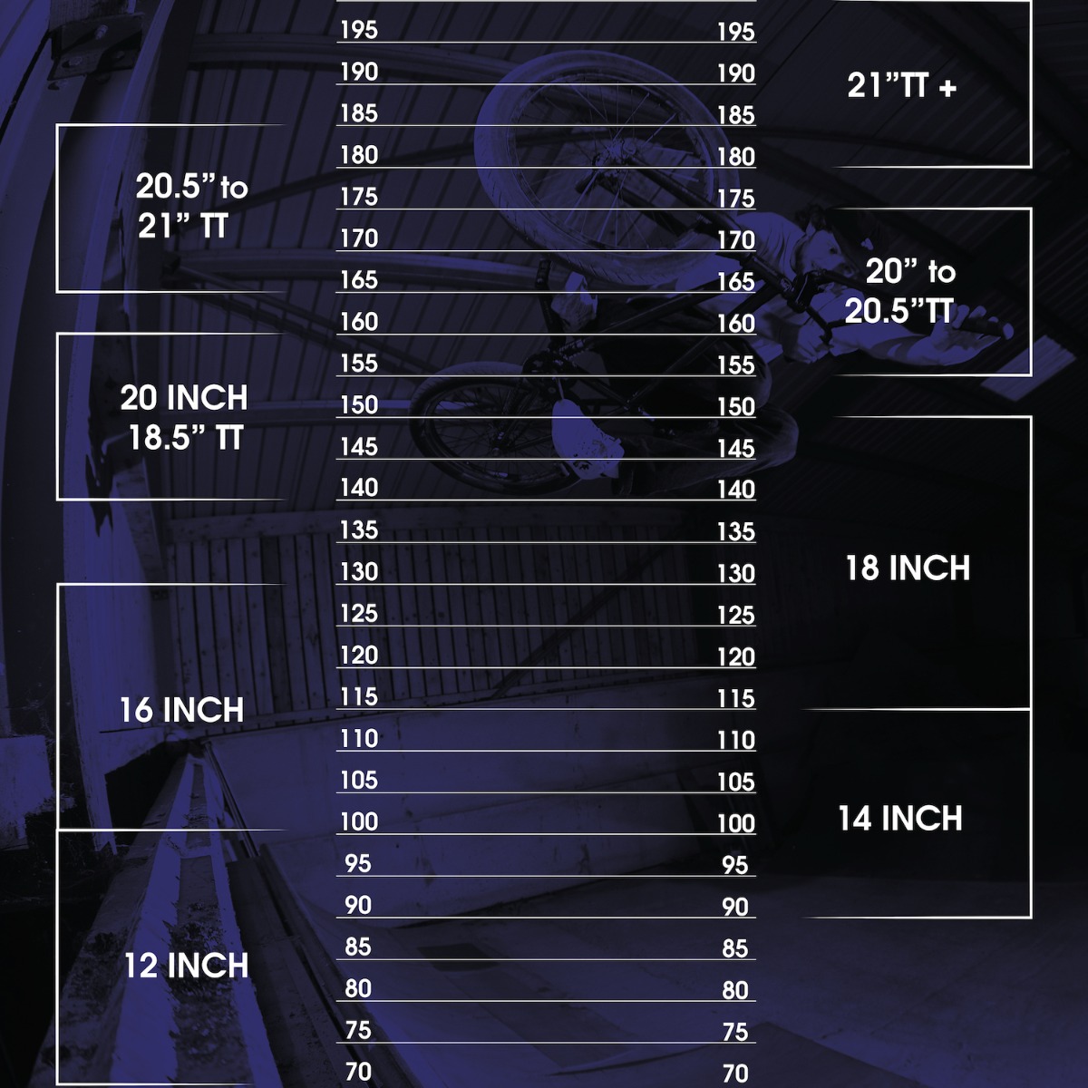 Height_Chart_for_web_V2_Freestyle_